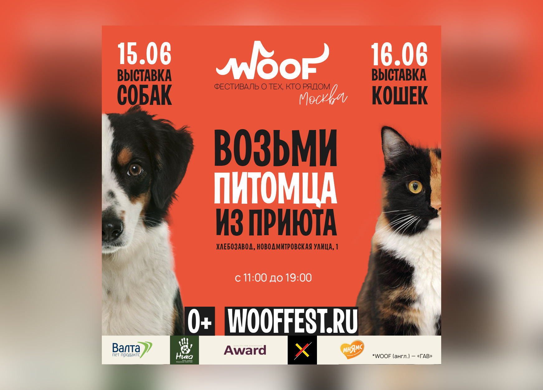 Фестиваль WOOF 2024 - Муниципальный приют для безнадзорных животных в Южном  административном округе города Москвы.