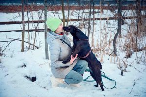 Красивая черная собака в дар