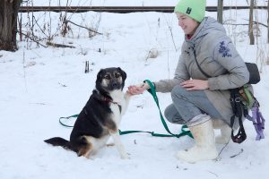 Собака с ушками конвертиком