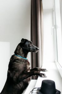 16-11-nikaviktoriya-023-Enhanced-NR