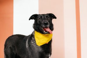 16-11-nikaviktoriya-025-Enhanced-NR