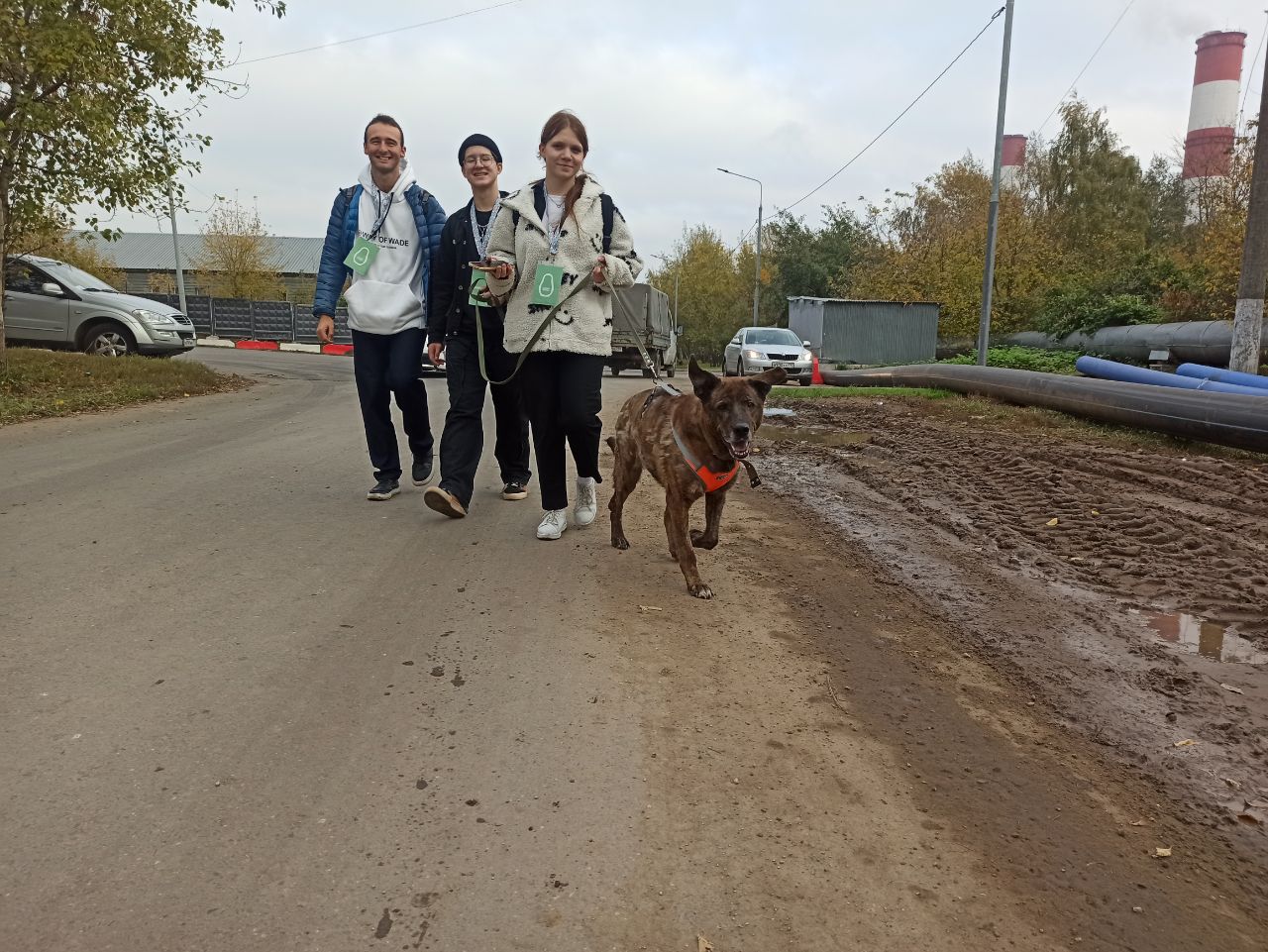 Мосволонтеры снова помогают приюту!