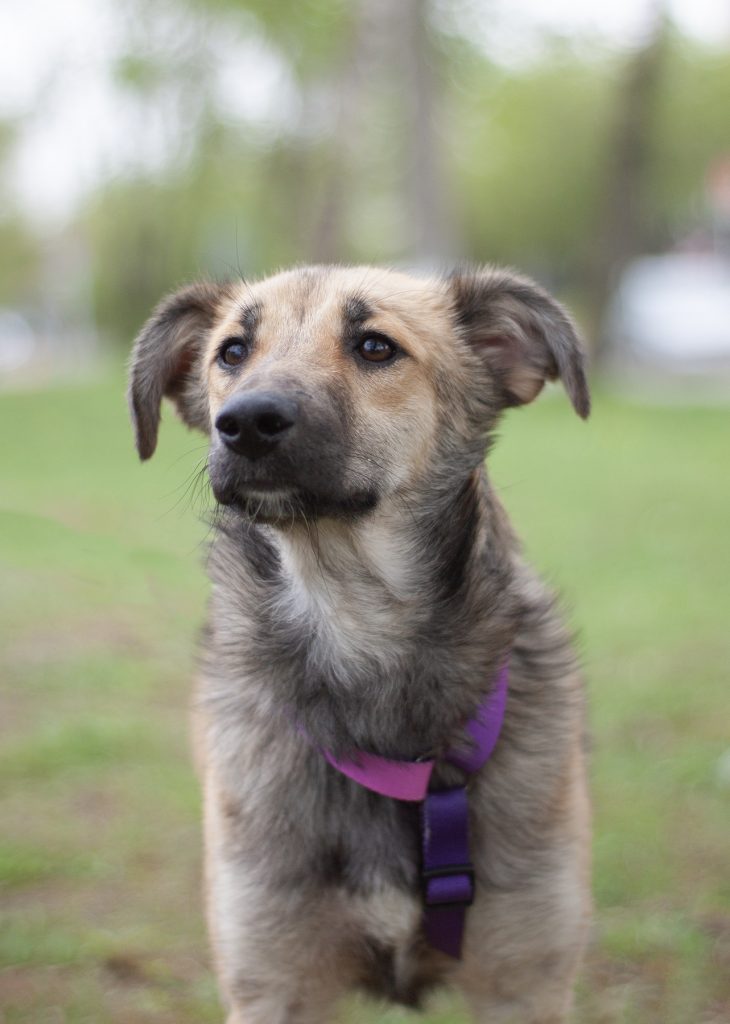 20250503_Симона3