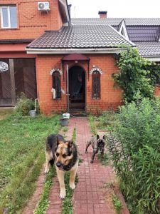 Полина и Рэкс