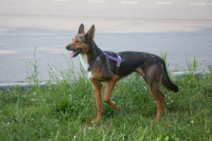 IMG_5238-min