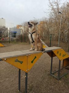 Юлия и Кристофер