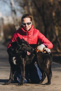 Черная статная собака