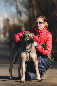 Серый песик из приюта