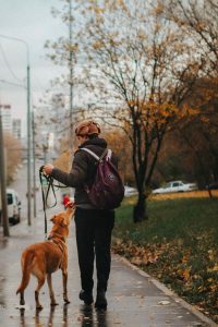 image-31-10-25-05-07-4