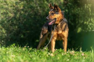 IMG_8140