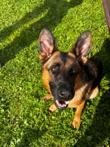 Костя, Лиза и Тайга Костя, Лиза и Тайга