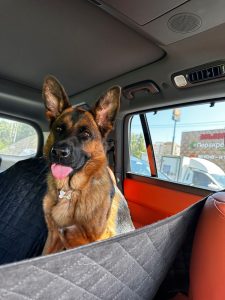 Костя, Лиза и Тайга Костя, Лиза и Тайга