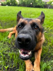 Костя, Лиза и Тайга Костя, Лиза и Тайга