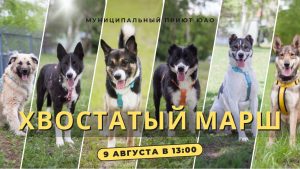 Хвостатый марш афиша