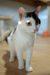 ANF_5217