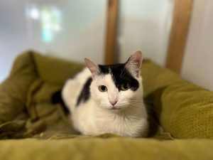 IMG_4583