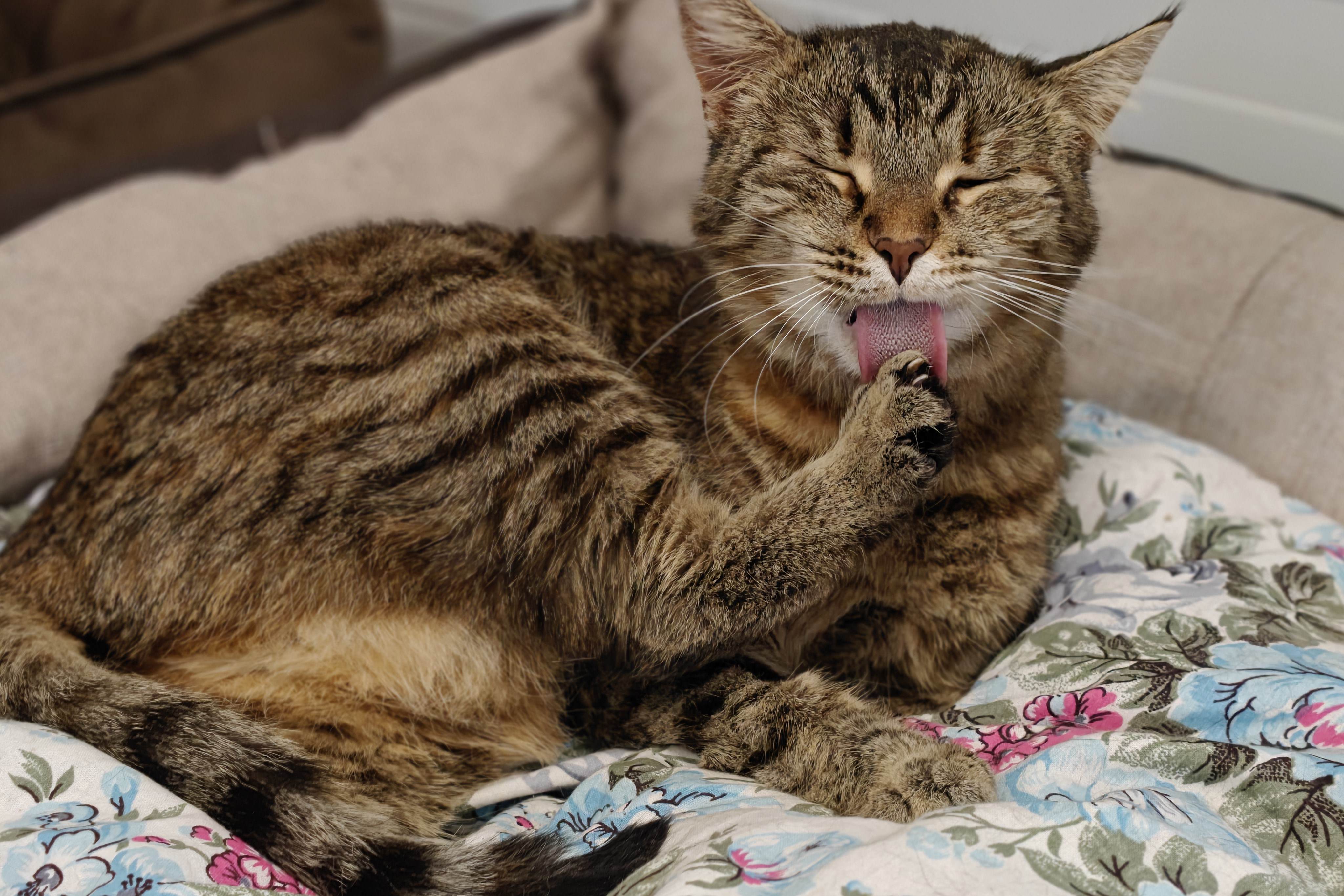 IMG_20250927_192920_019