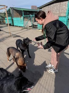 Приезд ООО «НПО ПКРВ» в приют Приезд ООО «НПО ПКРВ» в приют