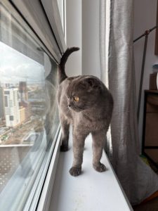 photo_2025-10-15_14-13-04 (2)