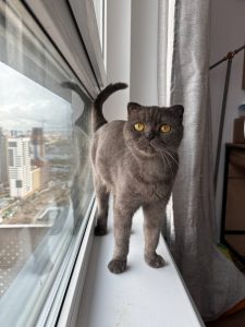 photo_2025-10-15_14-13-04