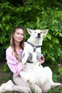 Белая небольшая собачка в дар