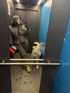 Вера и Ветер Вера и Ветер