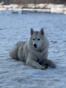 Вера и Ветер Вера и Ветер